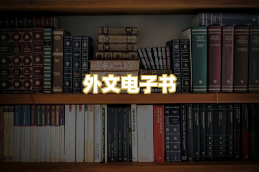 外文电子书